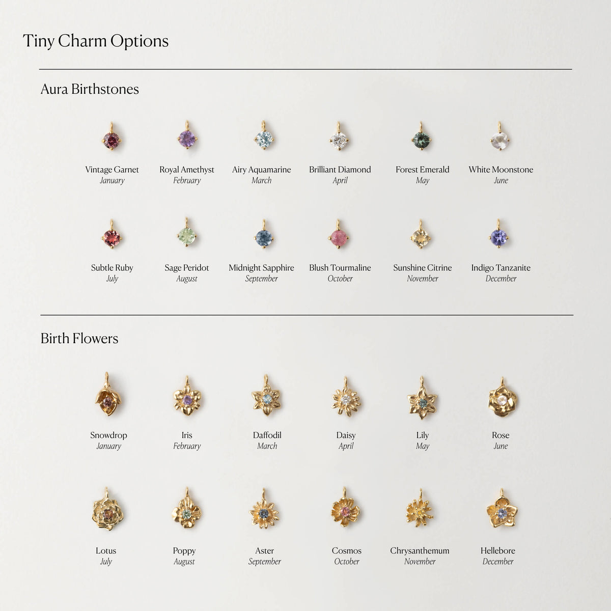 Almanac Custom Charm Necklace