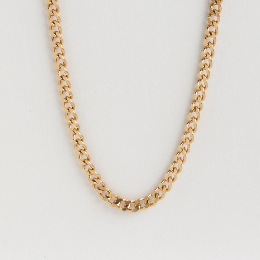 Make a Bold Statement with the Blake Thick Curb Necklace