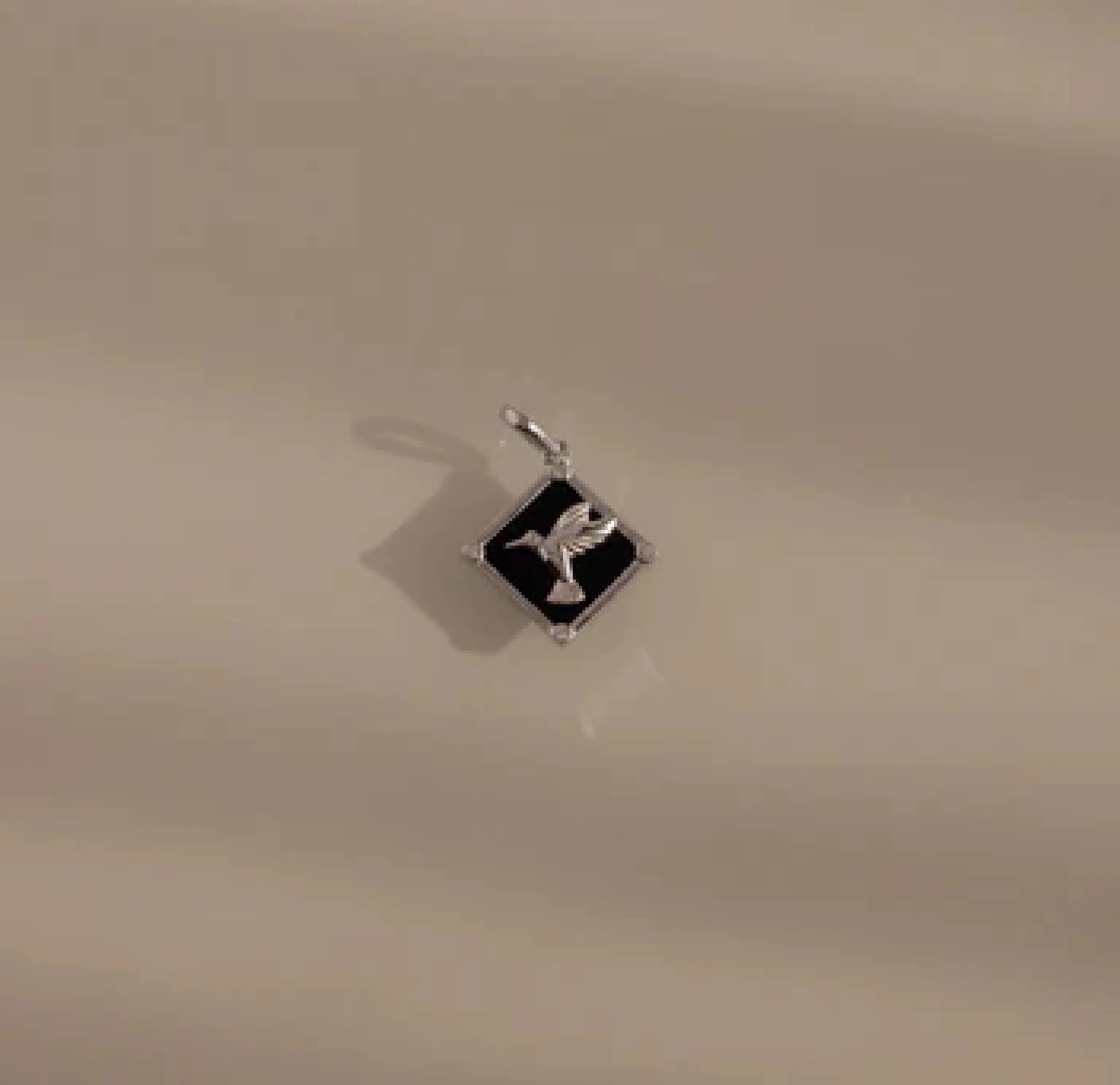 Nova Bird Charm