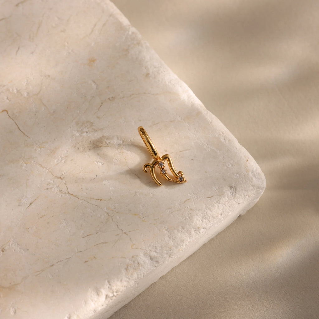 Zodiac Charm Silver 18K Gold Plated