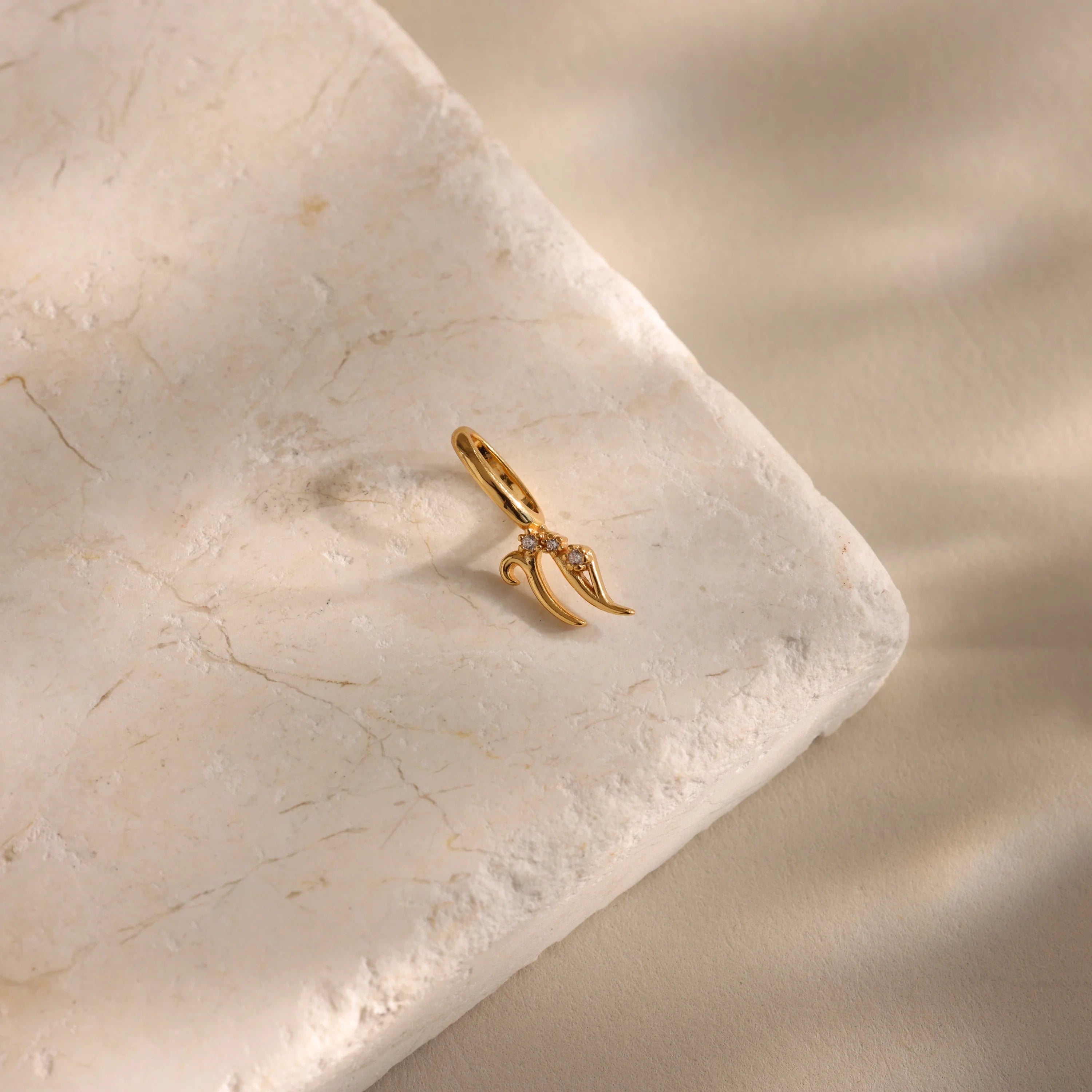 Zodiac Charm Silver 18K Gold Plated