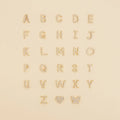 Pave Letter Studs