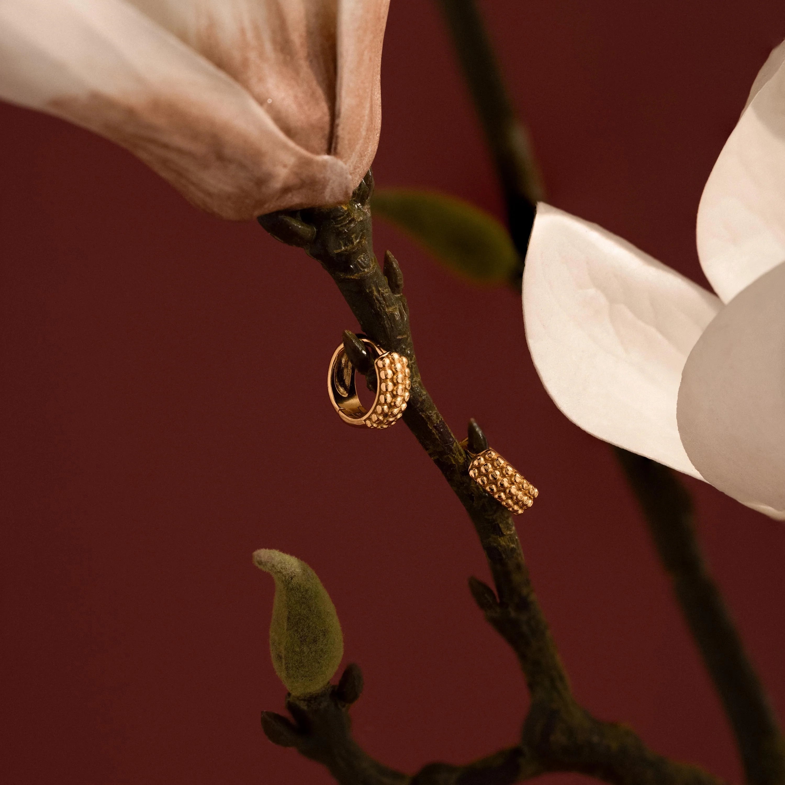 Beaded Chunky Hoops Silver 18K Gold Plated