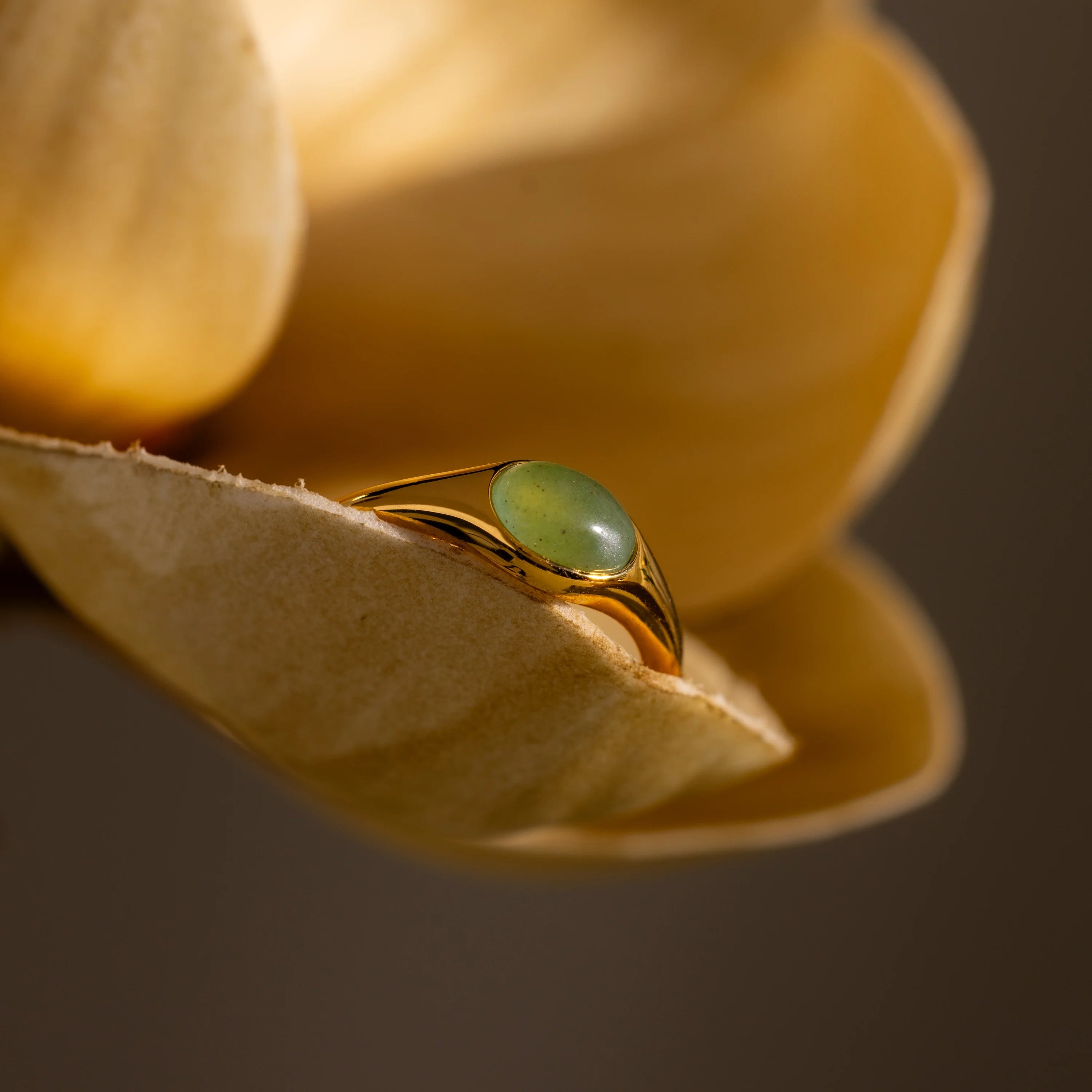 Oval Cut Jade Signet Ring Silver 18K Gold Plated