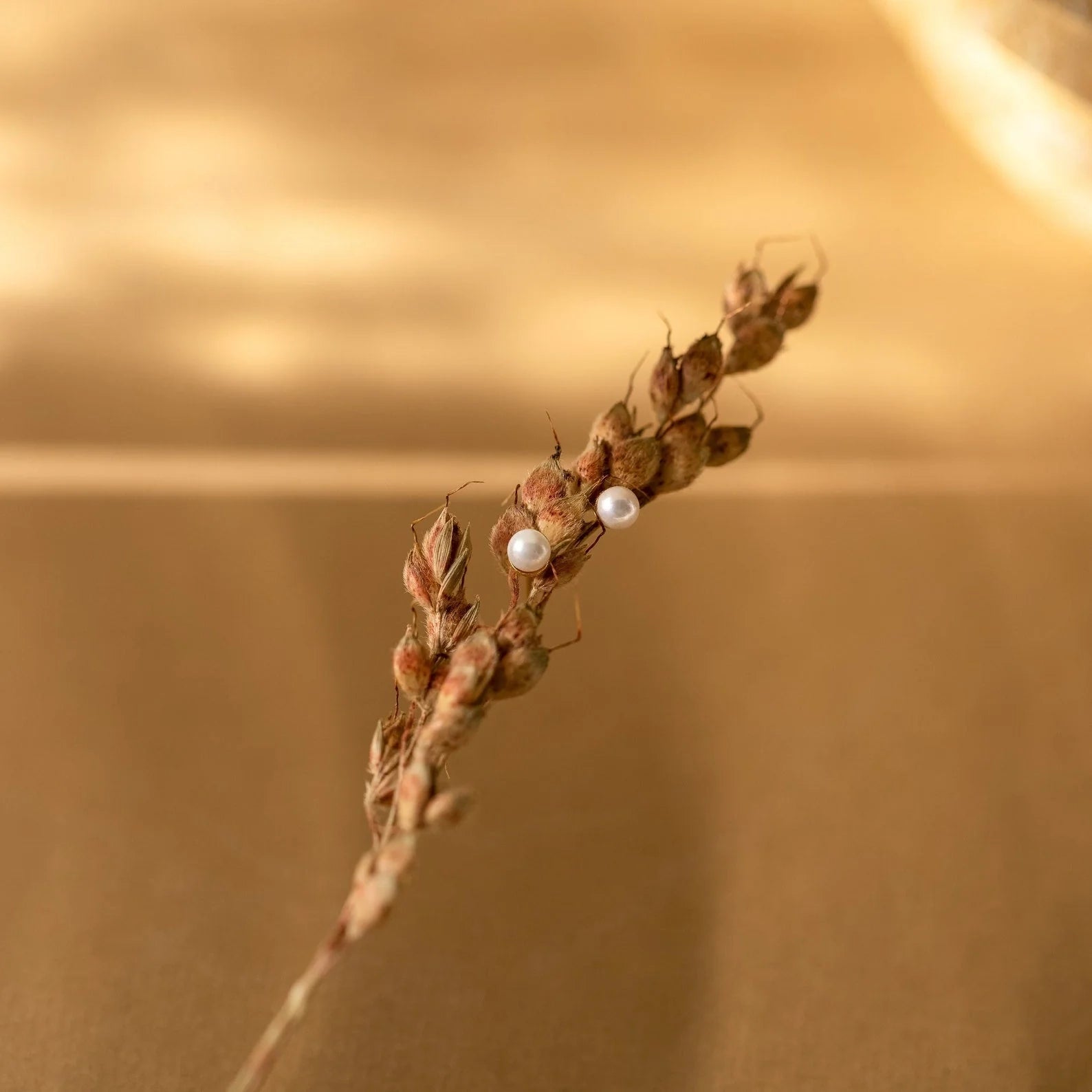 Delicate Pearl Stud Earrings