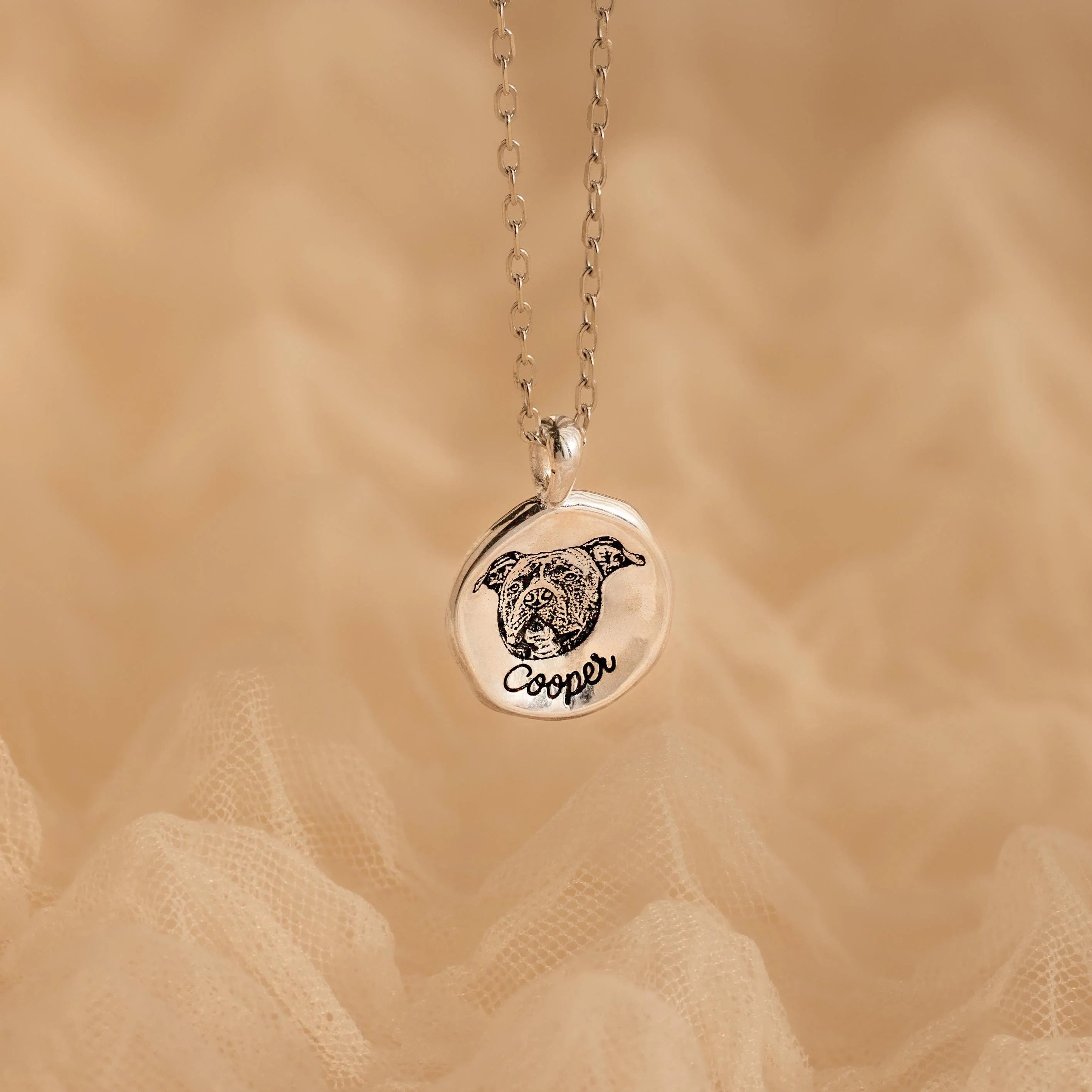 Pet Portrait Coin Necklace Silver 18K Gold Plated