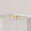 Pet Initial Ring Silver 18K Gold Plated