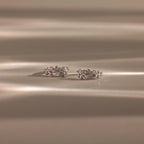 Diamond Leaf Hoops Silver 18K Gold Plated