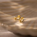 Diamond Starlight Flatback Studs Silver 18K Gold Plated