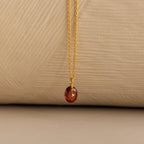 Garnet North Star Signet Necklace Silver 18K Gold Plated