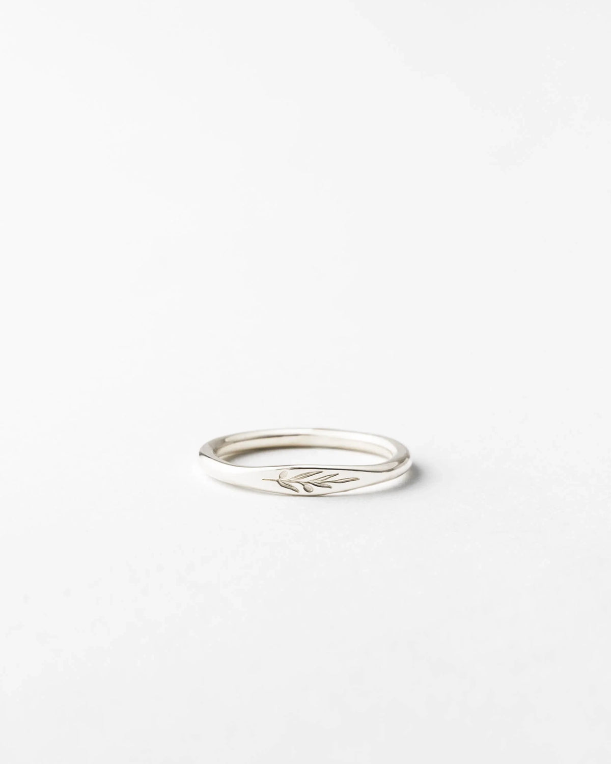 Olive Branch Signet
