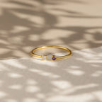 Tiny Dual Birthstone Ring Silver 18K Gold Plated