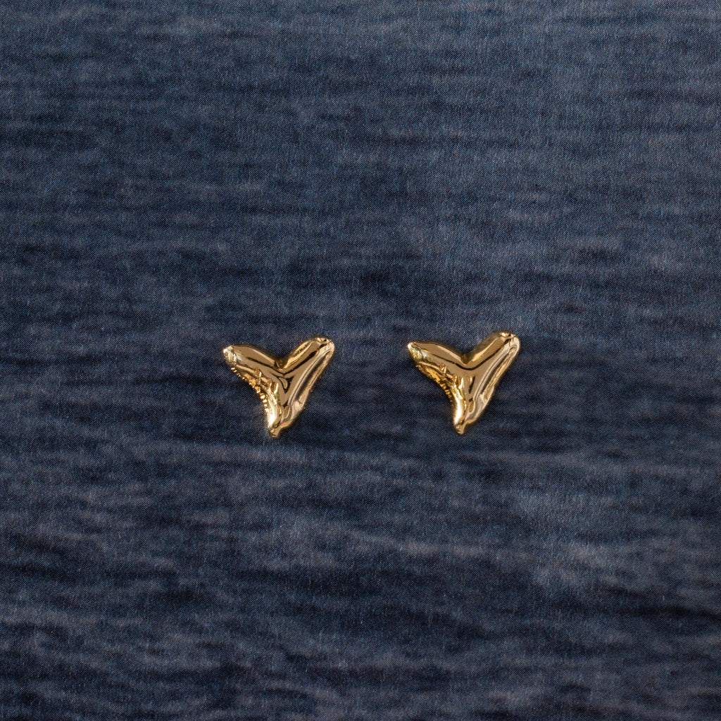 Shark Tooth Flatback Studs Silver 18K Gold Plated