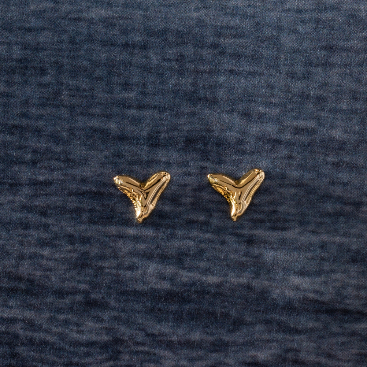 Shark Tooth Flatback Studs Silver 18K Gold Plated