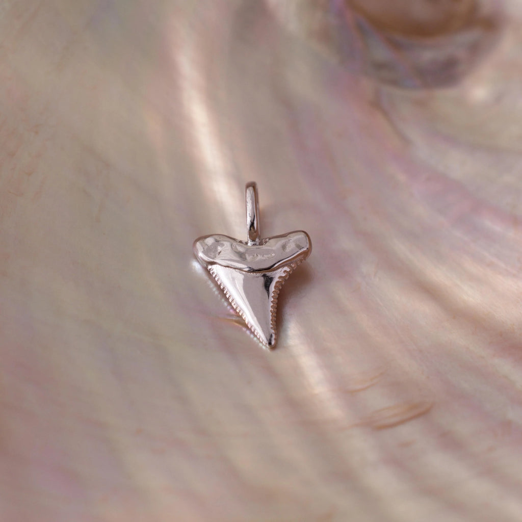 Shark Tooth Charm Silver 18K Gold Plated