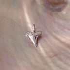 Shark Tooth Charm Silver 18K Gold Plated