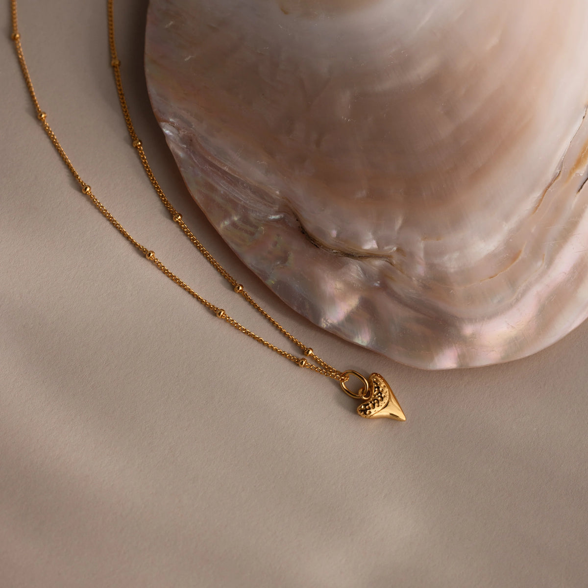 Shark Tooth Necklace Silver 18K Gold Plated