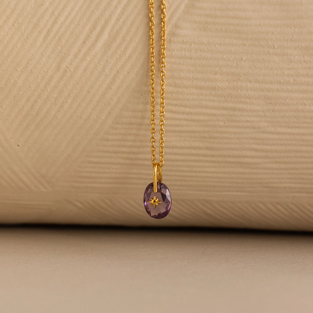 North Star Birthstone Signet Necklace in Amethyst Silver 18K Gold Plated