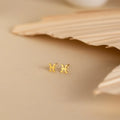 Tiny Zodiac Studs Silver 18K Gold Plated