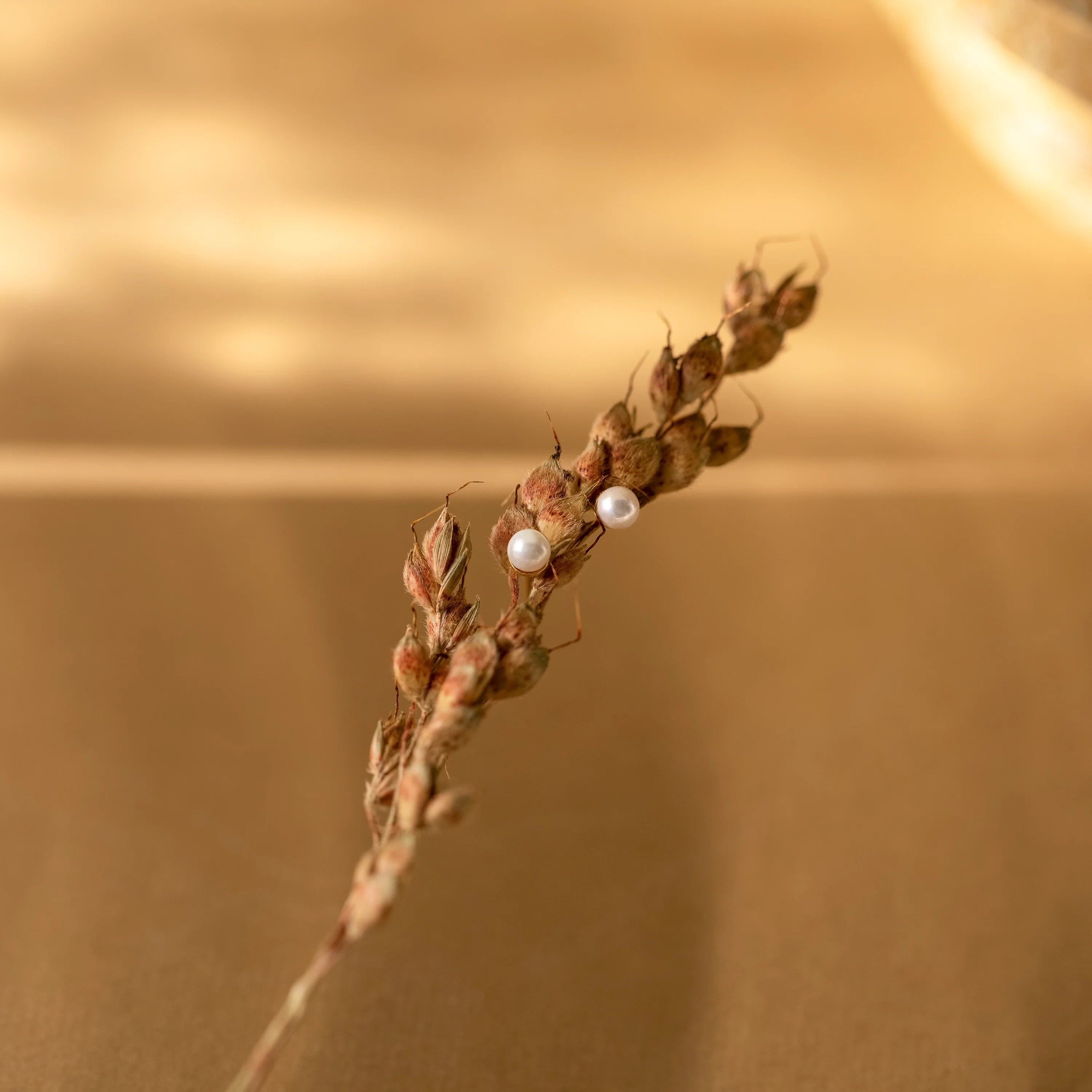 Dainty Pearl Studs Silver 18K Gold Plated