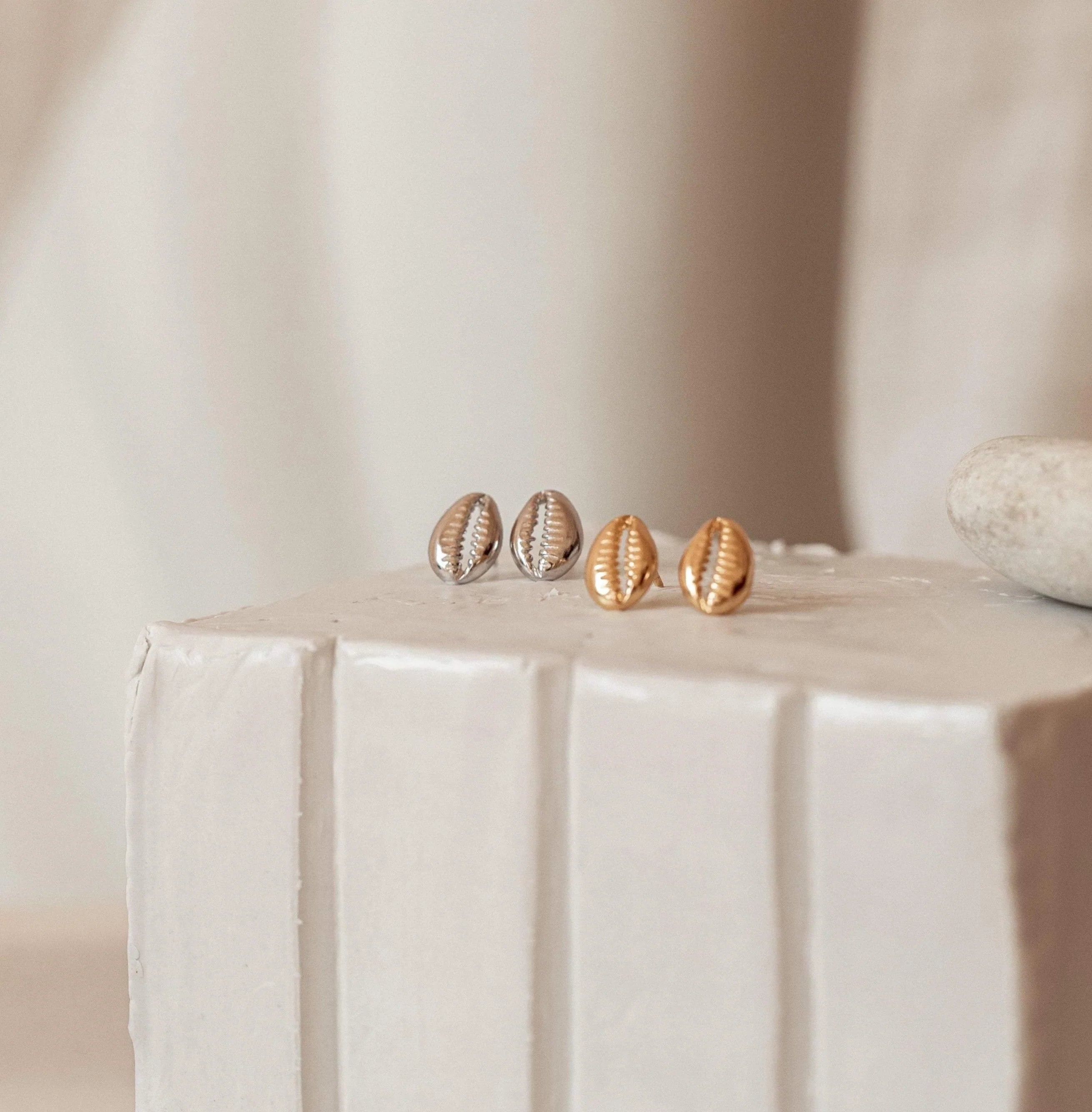 Cowry Shell Stud Earrings