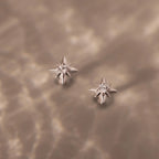 Diamond Starlight Flatback Studs Silver 18K Gold Plated