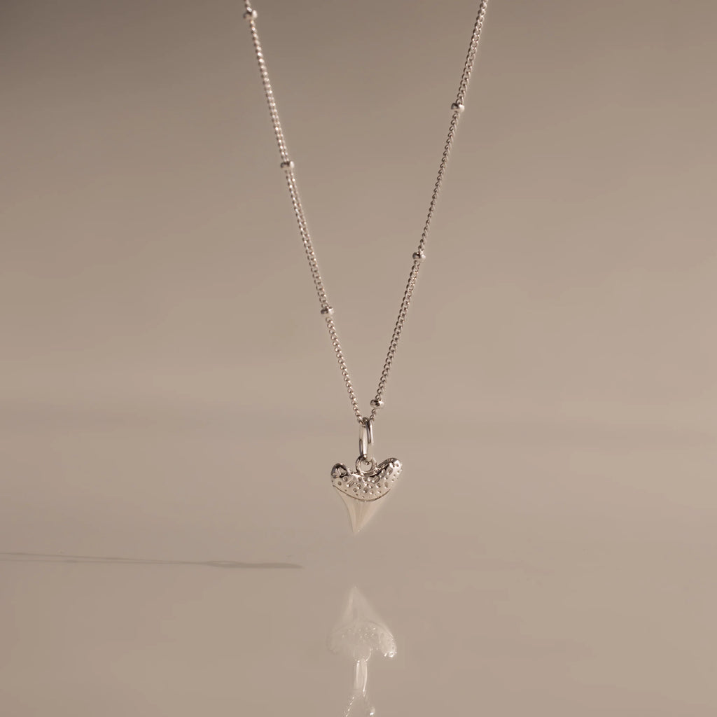 Shark Tooth Necklace Silver 18K Gold Plated