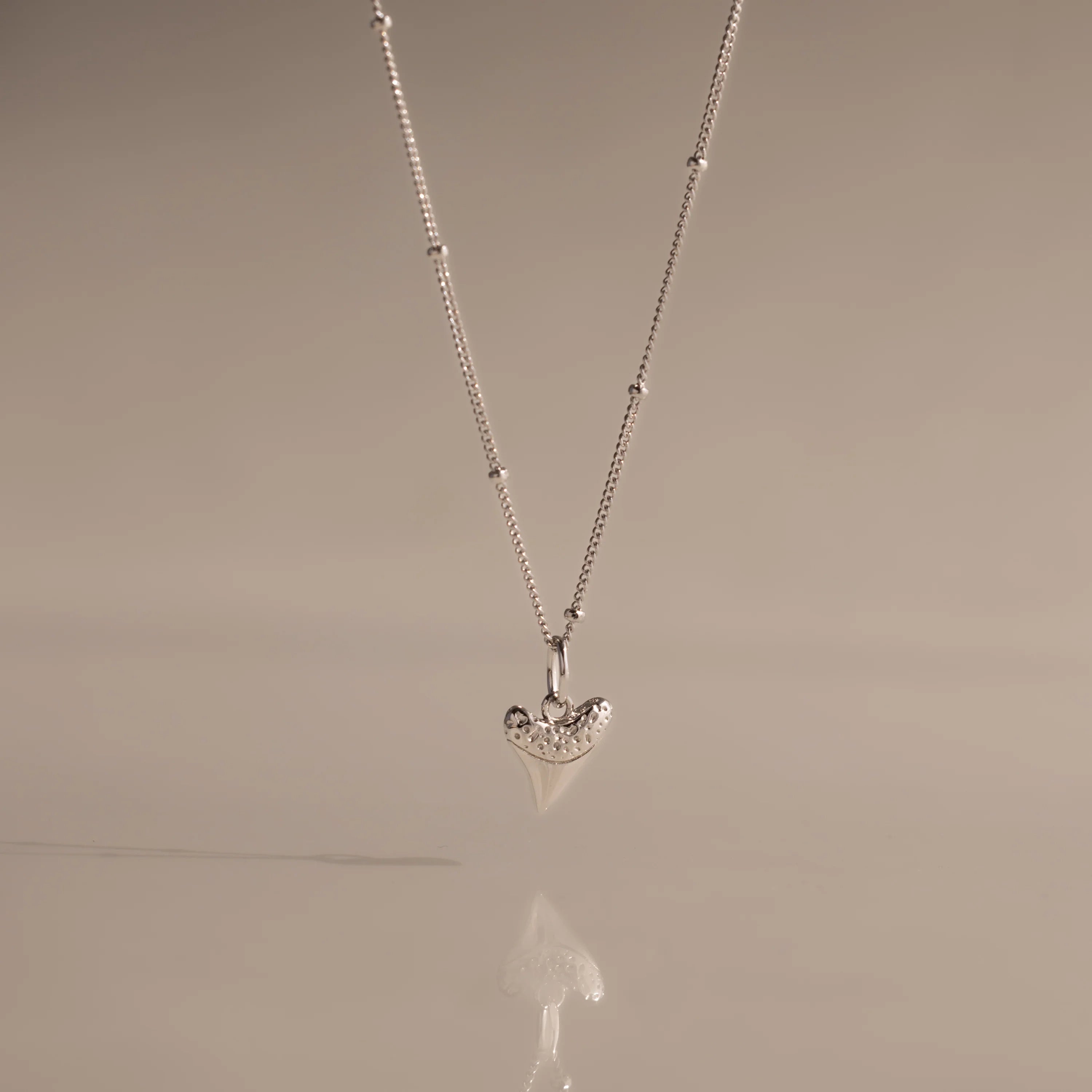 Shark Tooth Necklace Silver 18K Gold Plated