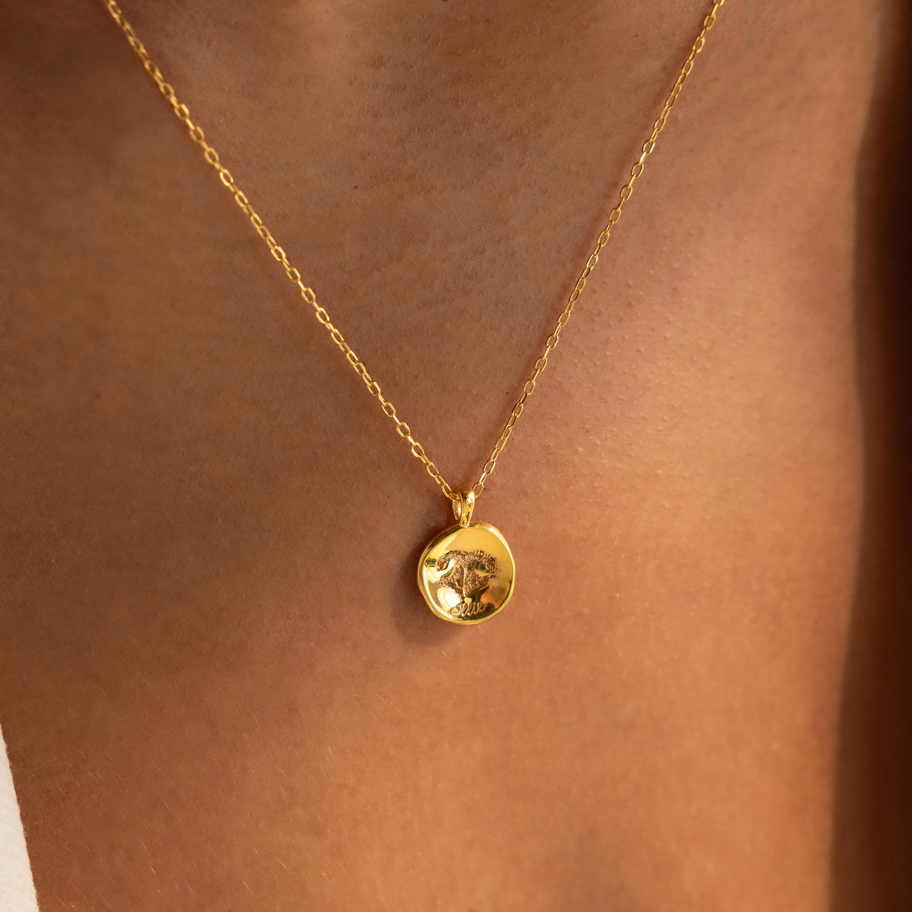 Paw Print Coin Necklace Silver 18K Gold Plated