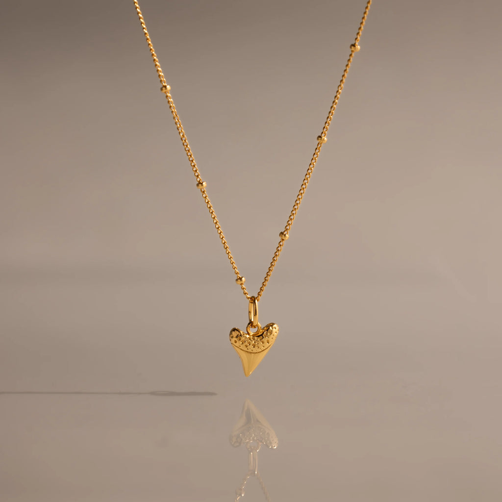 Shark Tooth Necklace Silver 18K Gold Plated
