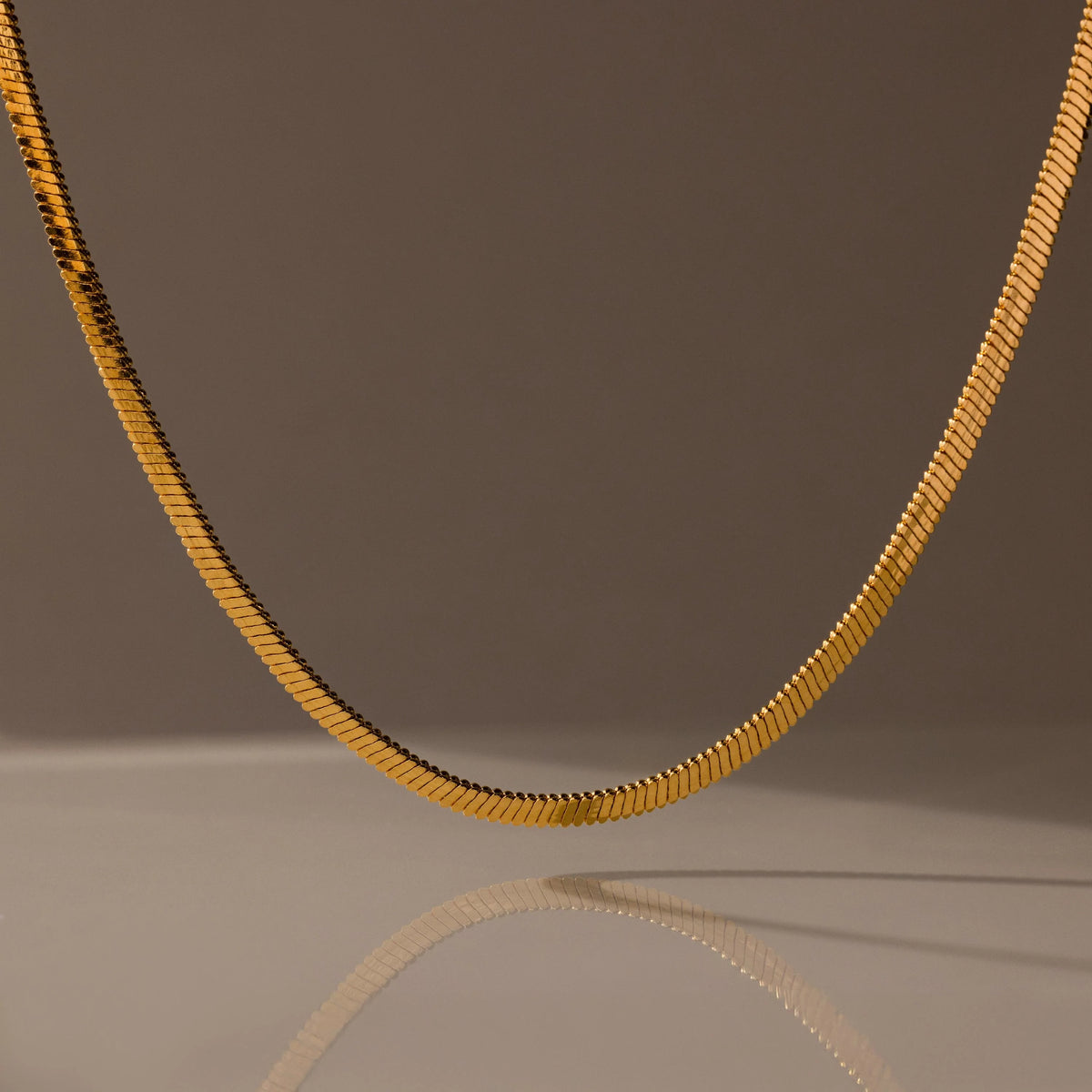 Bold Snake Chain Necklace Silver 18K Gold Plated
