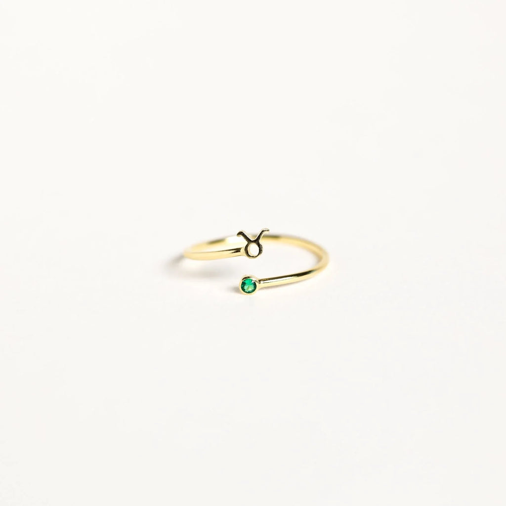 Zodiac Birthstone Ring Silver 18K Gold Plated