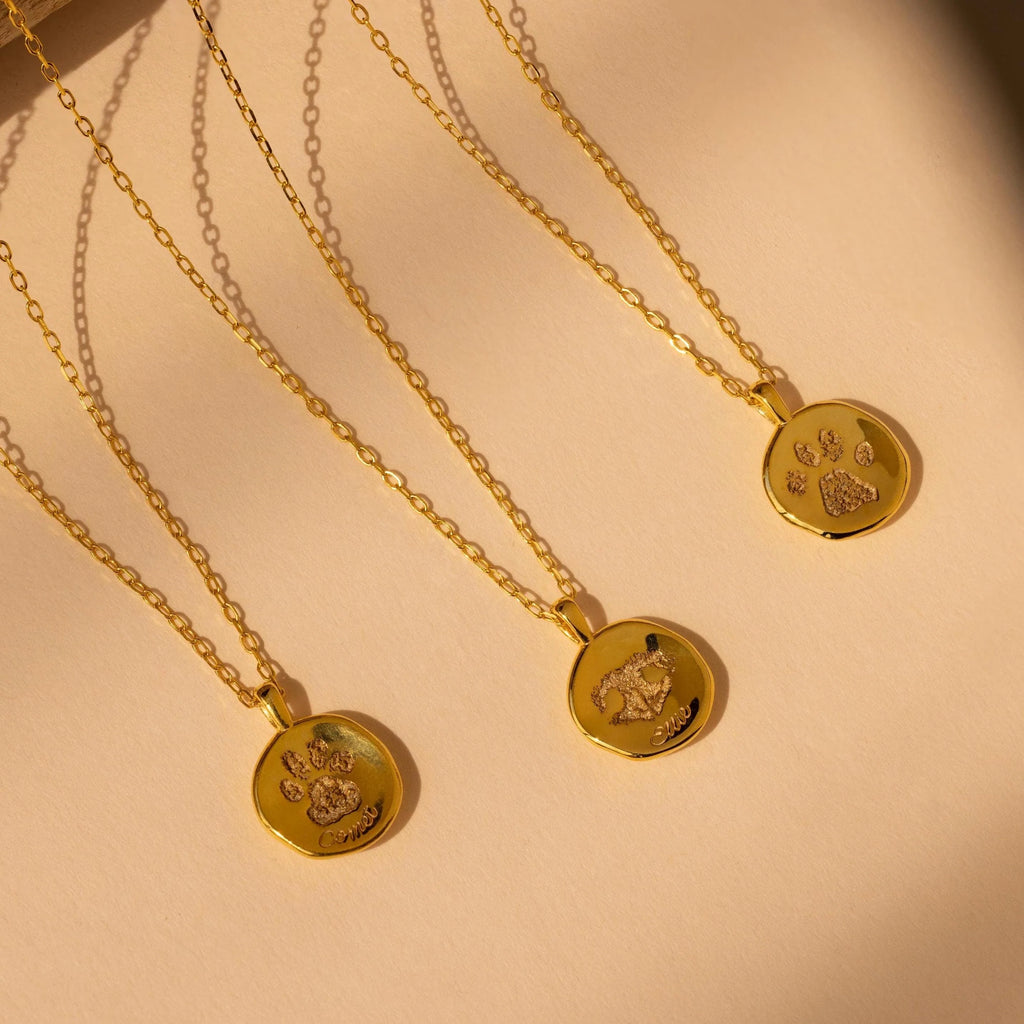Paw Print Coin Necklace Silver 18K Gold Plated