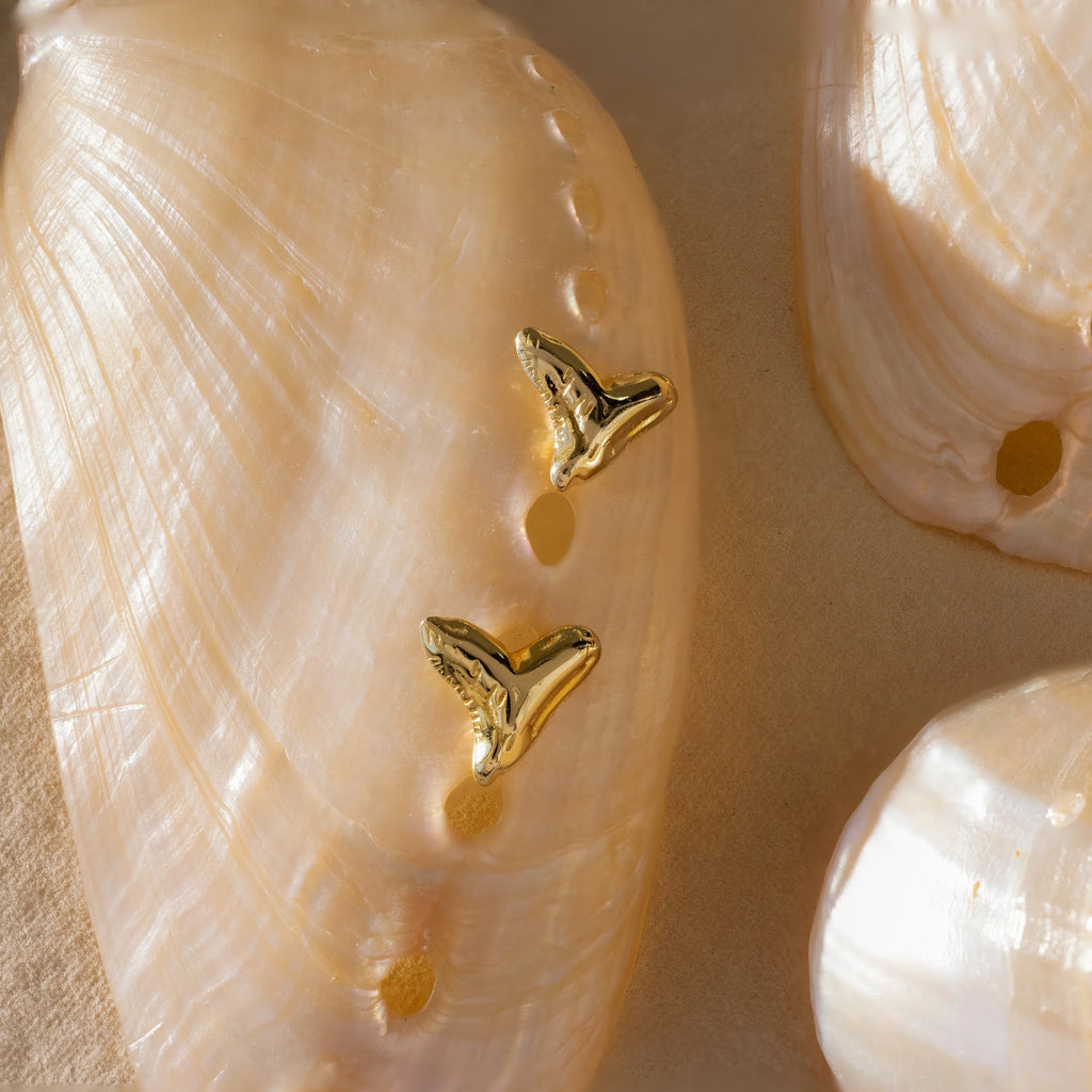 Shark Tooth Flatback Studs Silver 18K Gold Plated