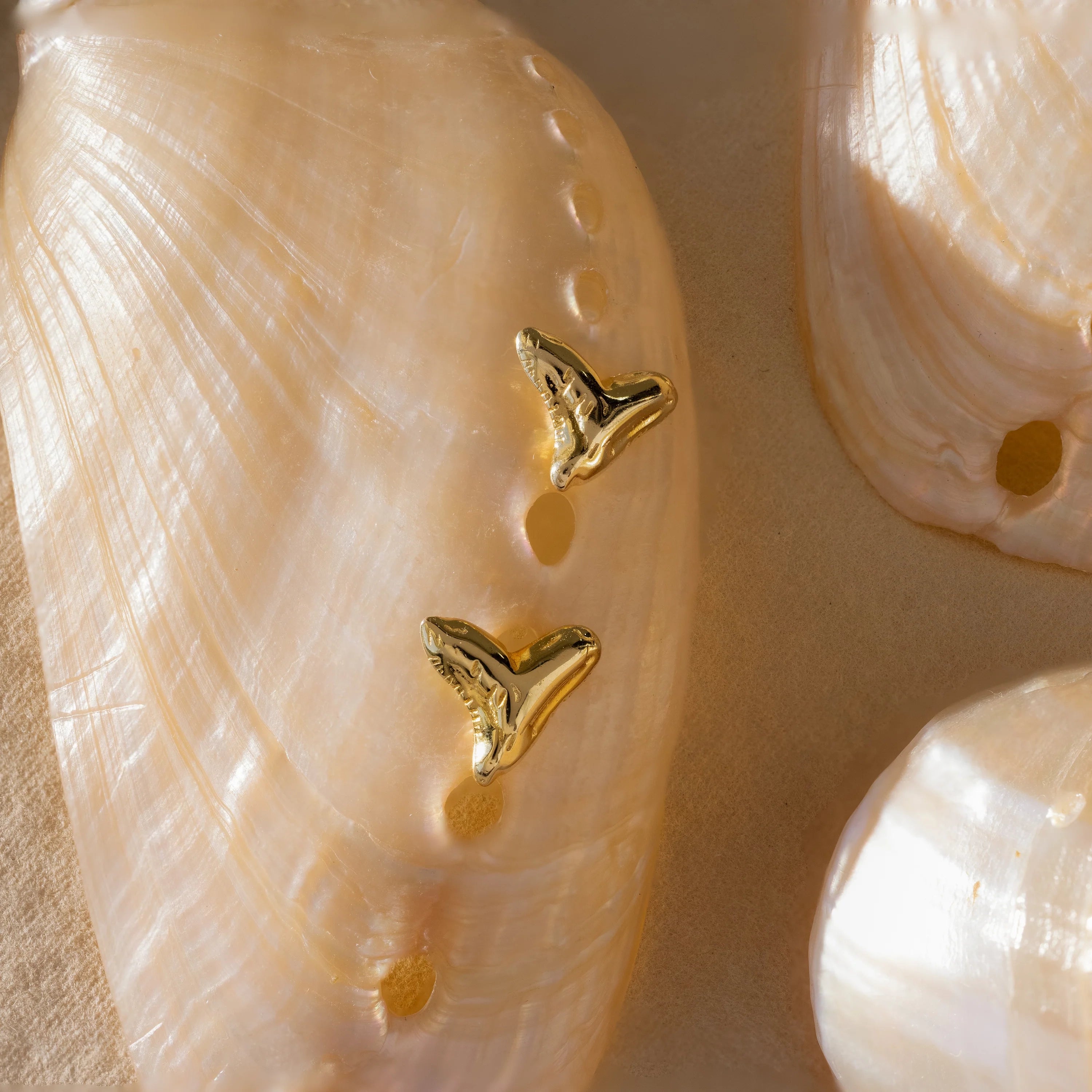 Shark Tooth Flatback Studs Silver 18K Gold Plated