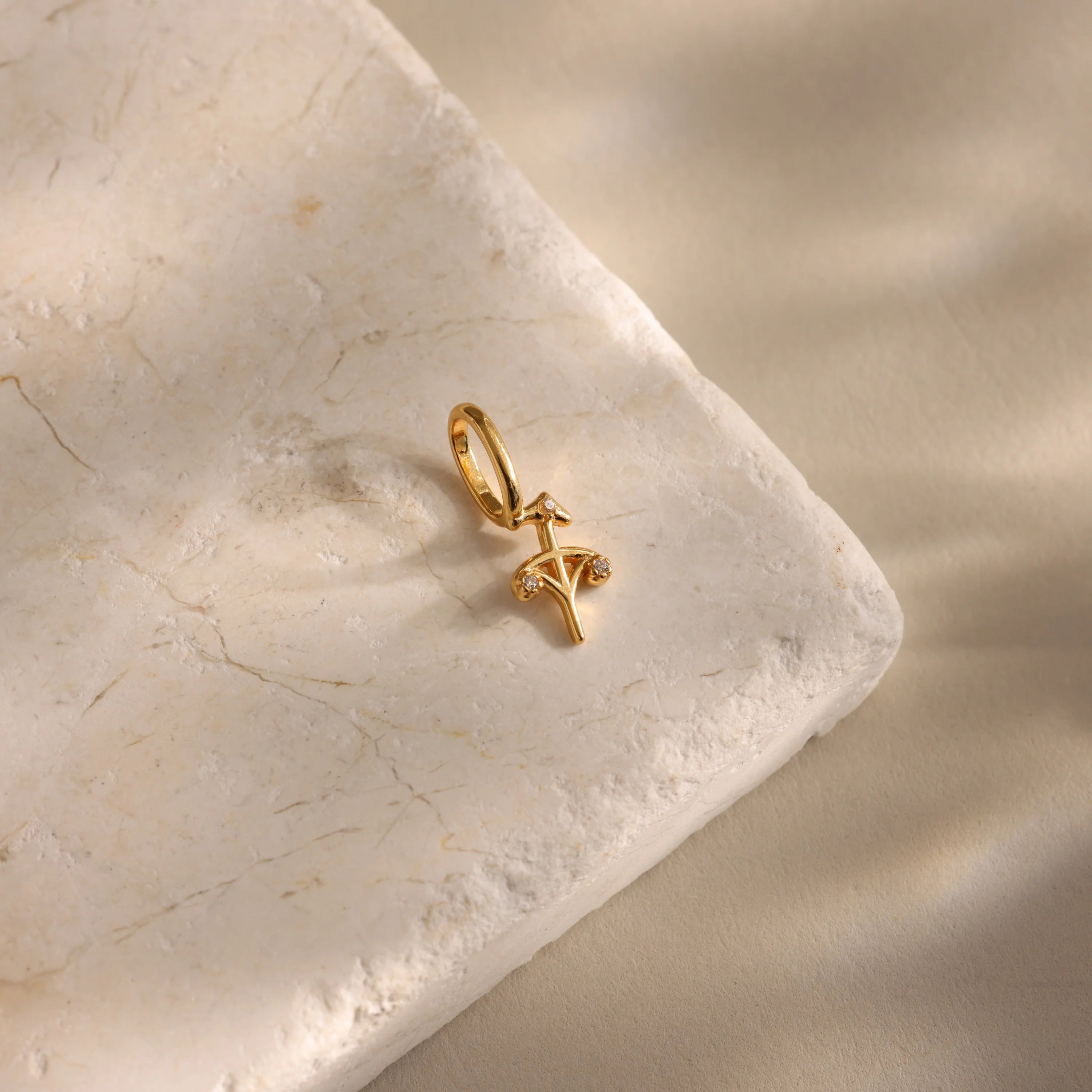 Zodiac Charm Silver 18K Gold Plated