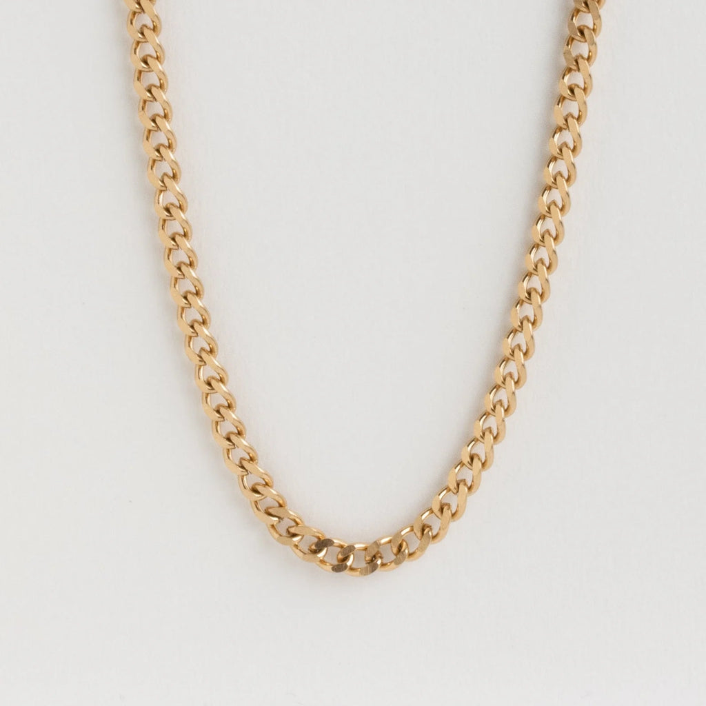 Blake Thick Curb Necklace Silver 18K Gold Plated