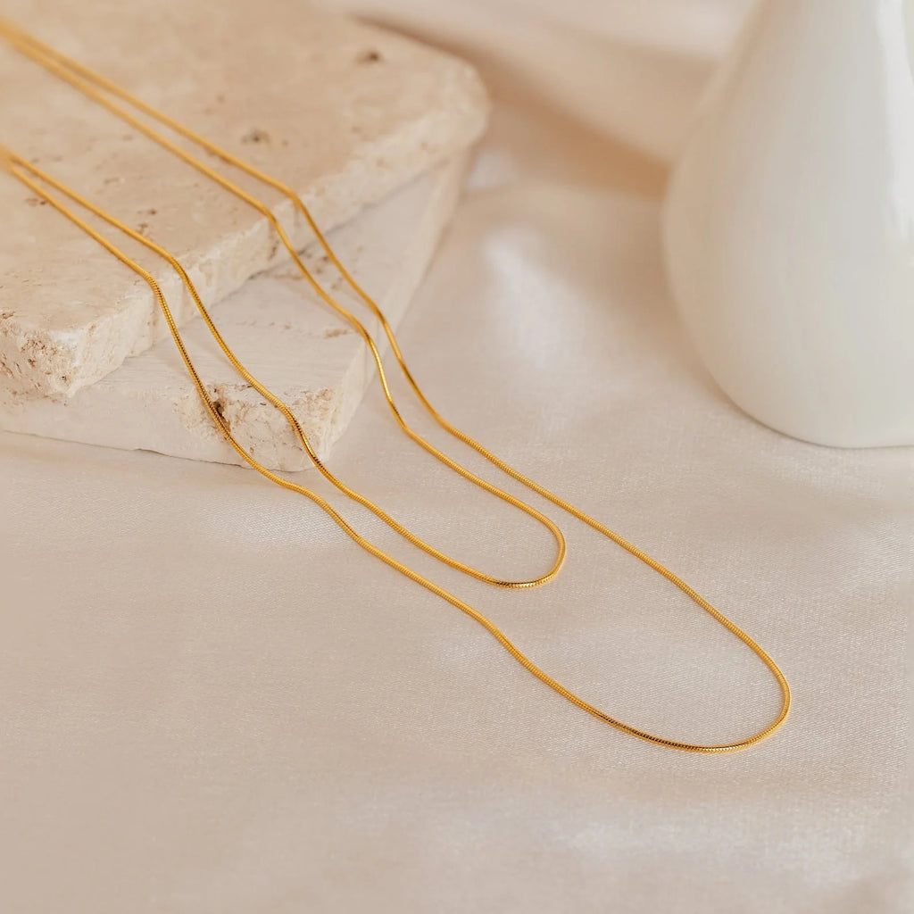 Double Snake Chain Necklace
