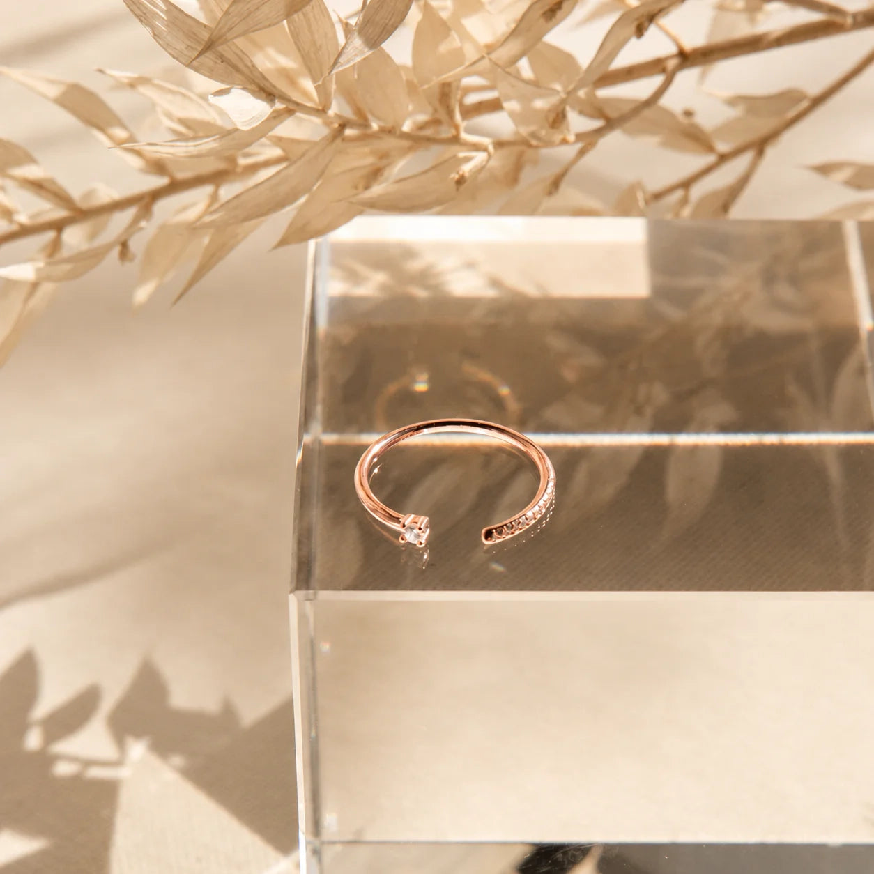 Cecilia Pave Ring