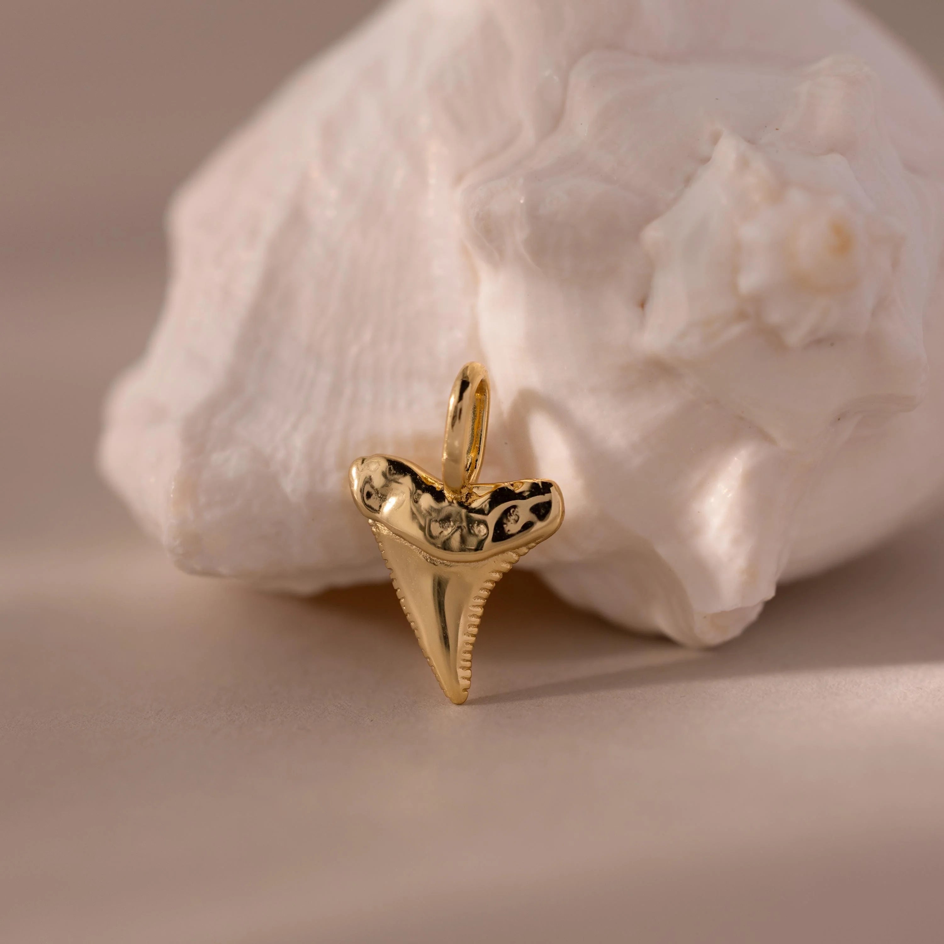 Shark Tooth Charm Silver 18K Gold Plated