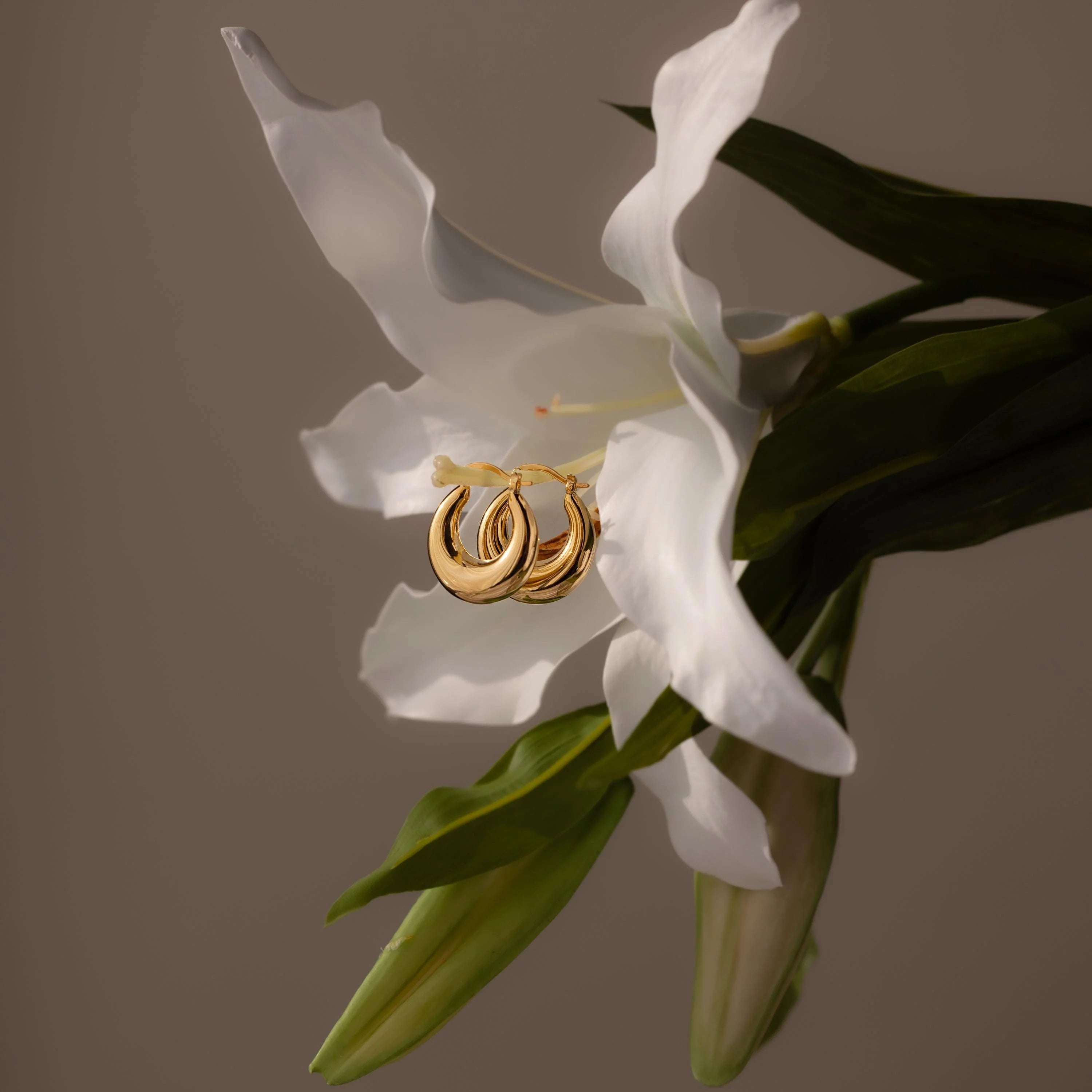 Sculpted Hoops Silver 18K Gold Plated