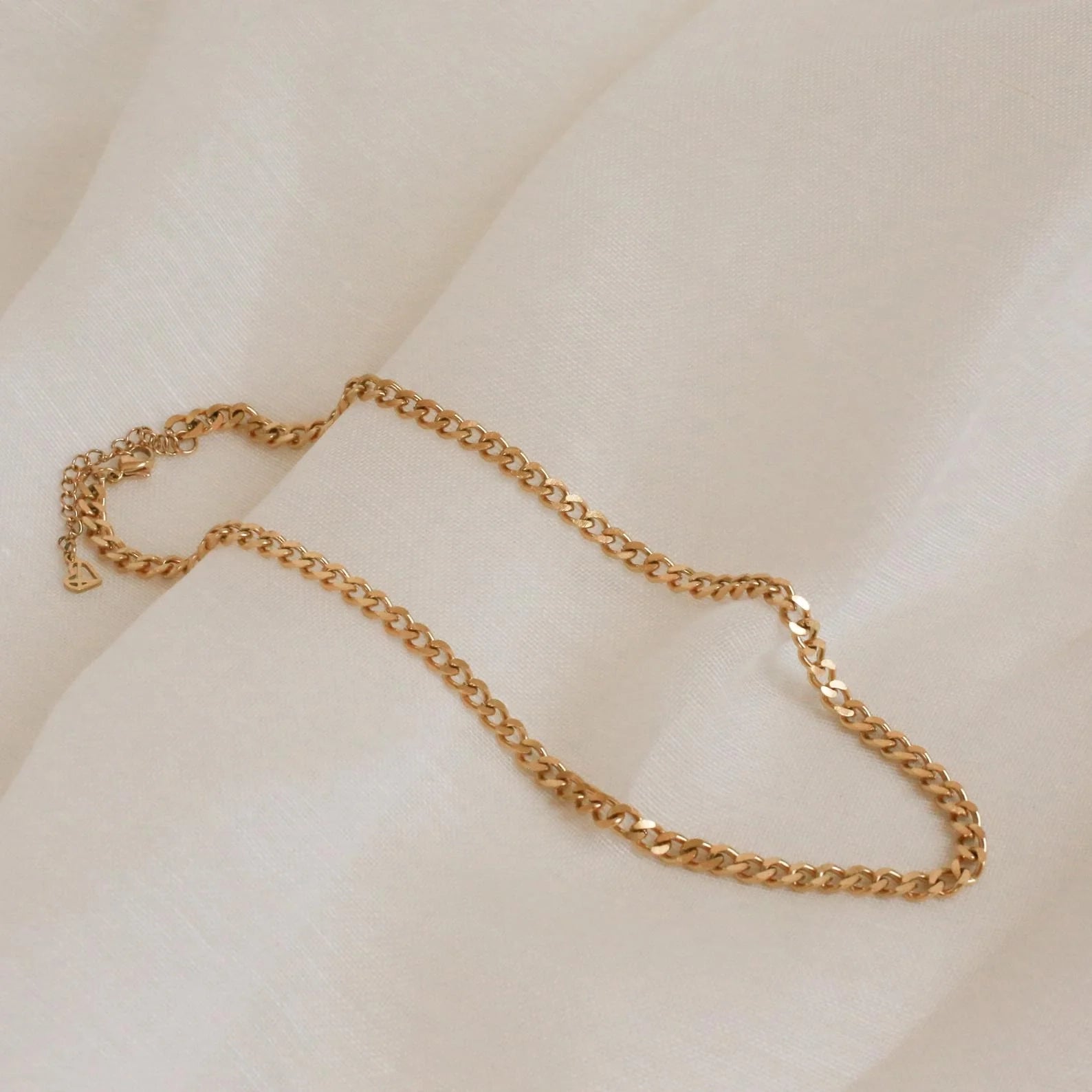 Blake Thick Curb Necklace Silver 18K Gold Plated