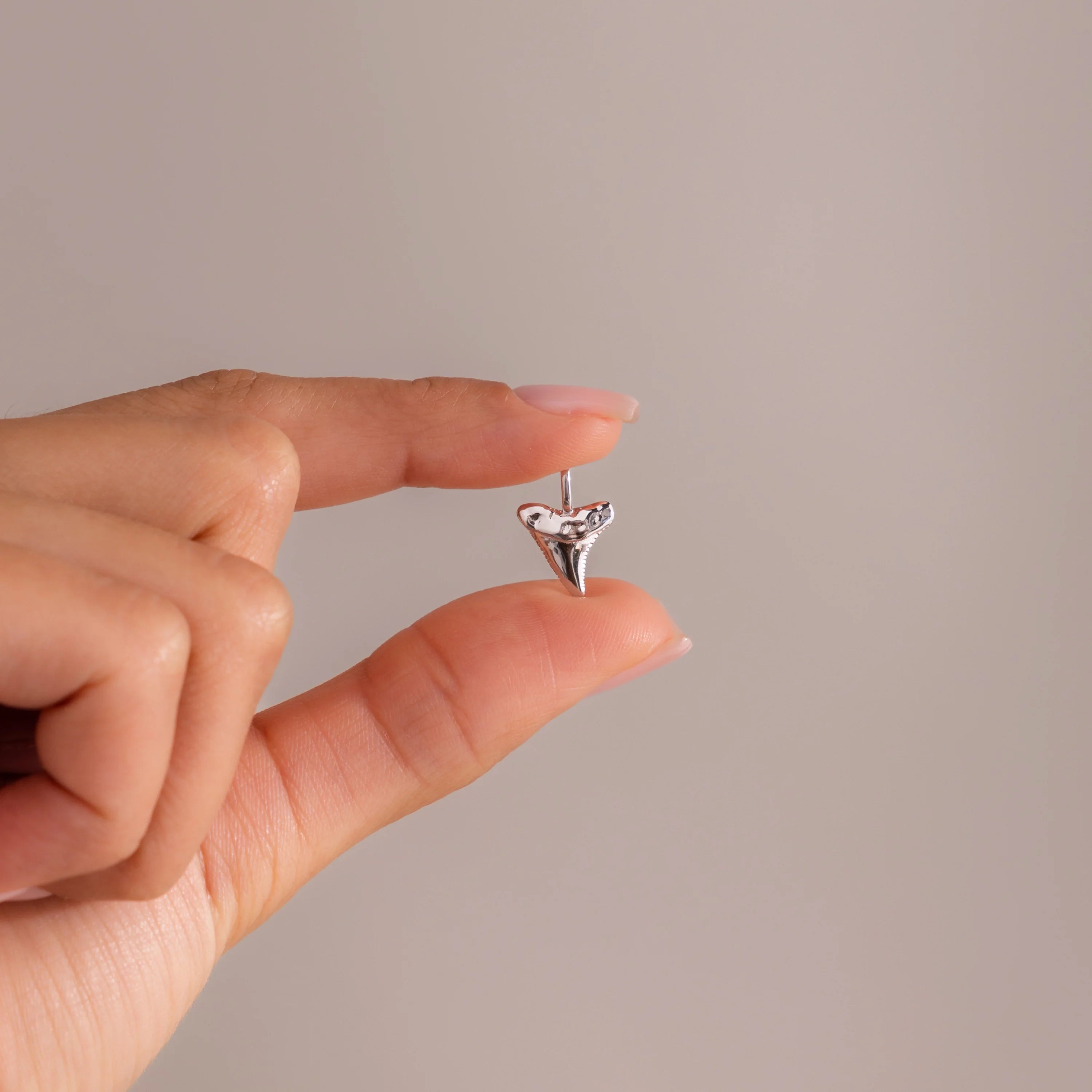 Shark Tooth Charm Silver 18K Gold Plated