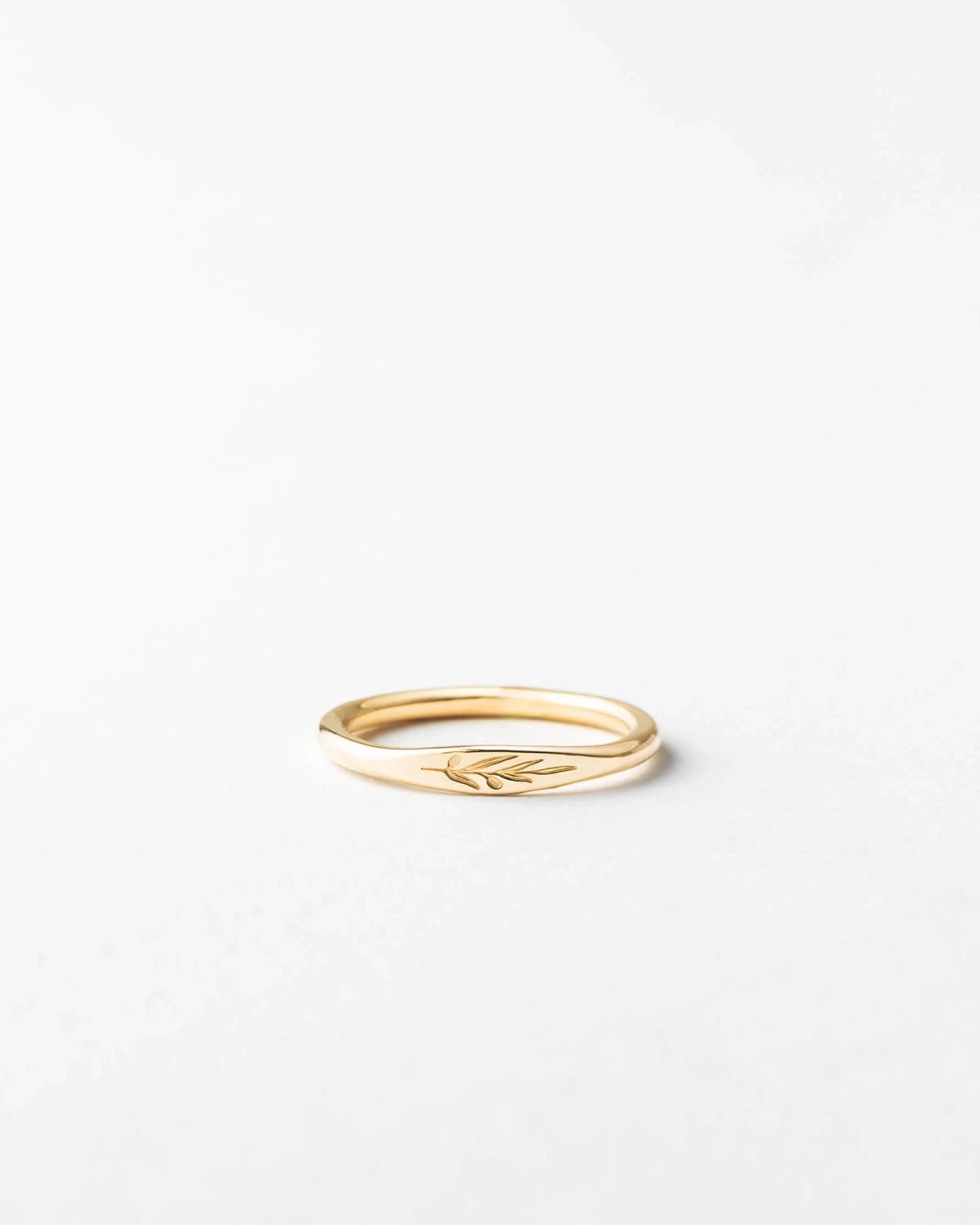 Olive Branch Signet
