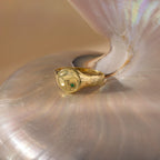 North Star Birthstone Signet Ring Silver 18K Gold Plated