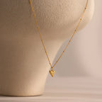 Shark Tooth Necklace Silver 18K Gold Plated