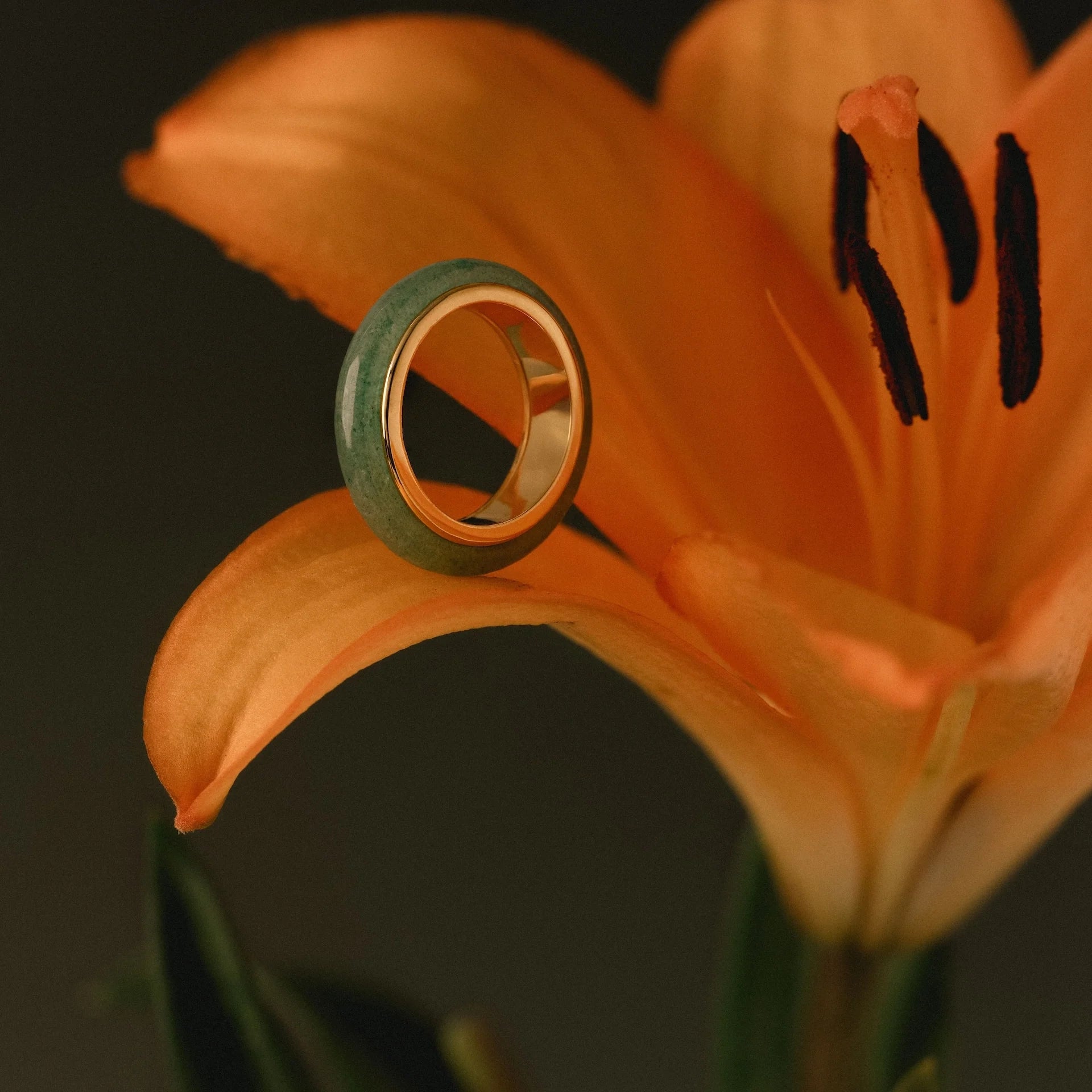 Jade Band Spinner Ring Silver 18K Gold Plated
