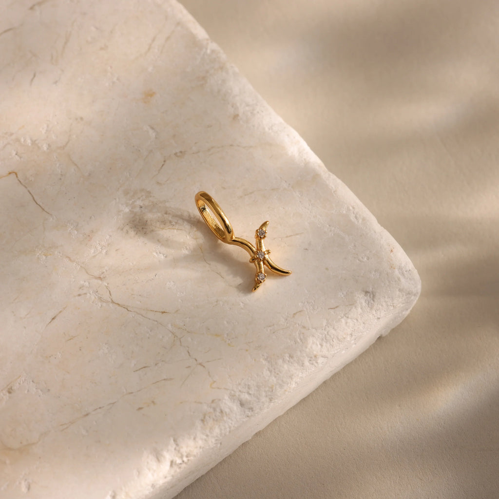 Zodiac Charm Silver 18K Gold Plated